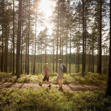 Отель First Camp Hokensas-Тидахольм Экстерьер фото