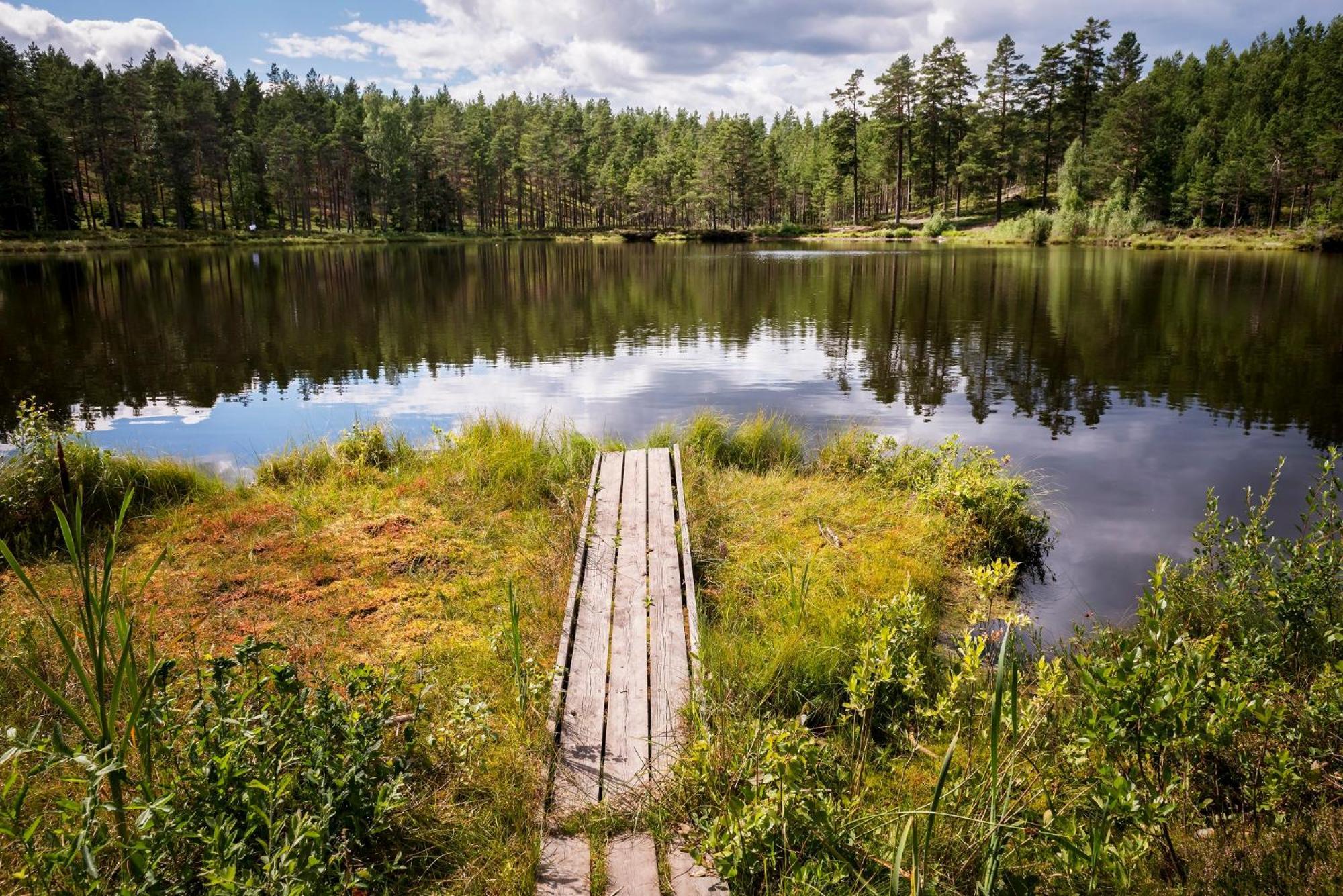 Отель First Camp Hokensas-Тидахольм Экстерьер фото